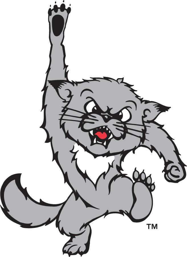 Cincinnati Bearcats 1995-2005 Secondary Logo iron on transfers for clothing